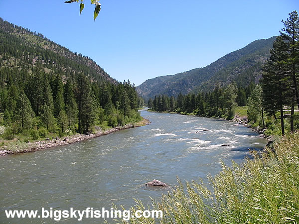 The Blackfoot River & Forested Mountains