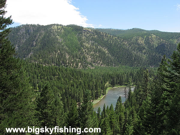 Forested Mountains and the Blackfoot River