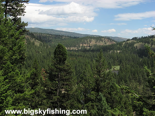 Forested Terrain Along the Blackfoot River Corridor Byway