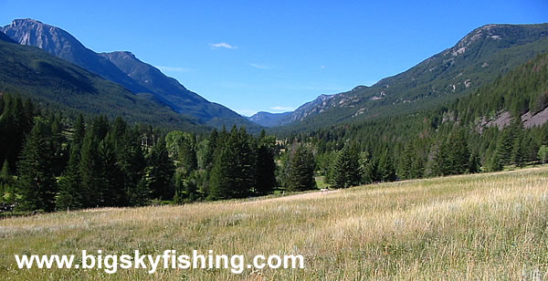 Meadow in the Absaroka Mountains, Photo #3