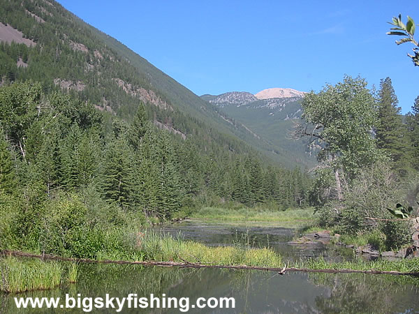 Boulder River & The Absaroka Mountains, Photo #5