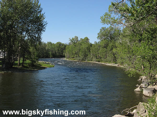 The Stillwater River Near Absarokee, Montana