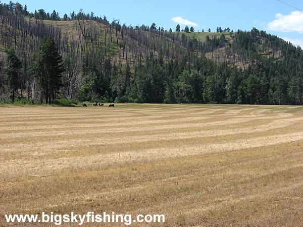 Agricultural Field Near Interstate 90