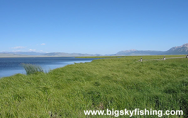 Lower Red Rock Lake in Montana, Photo #2