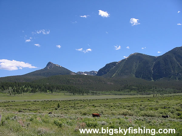 The Centennial Mountains in Montana, Photo #3