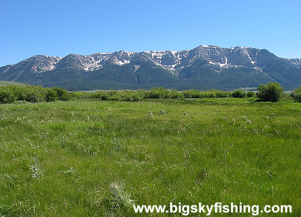 The Centennial Mountains in Montana, Photo #4