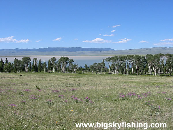 Upper Red Rock Lake in Montana, Photo #1