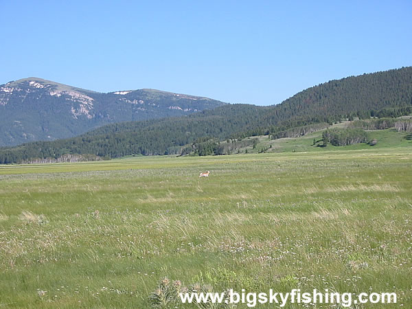 The Centennial Mountains in Montana, Photo #5