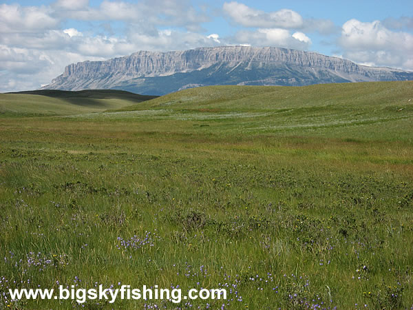 Hard to Miss the Rocky Mountain Front