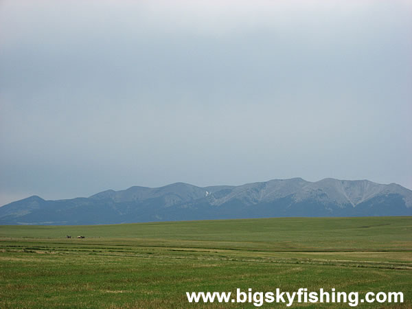 Fields of Hay & The Crazy Mountains