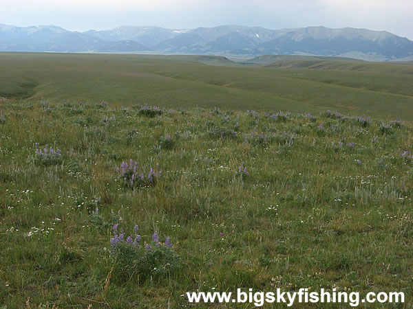 The Crazy Mountains and Expansive Prairie