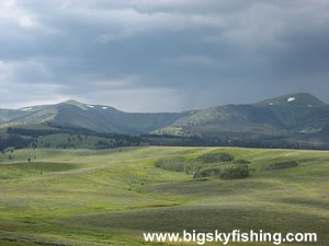 On the Gravelley Range Backcountry Byway