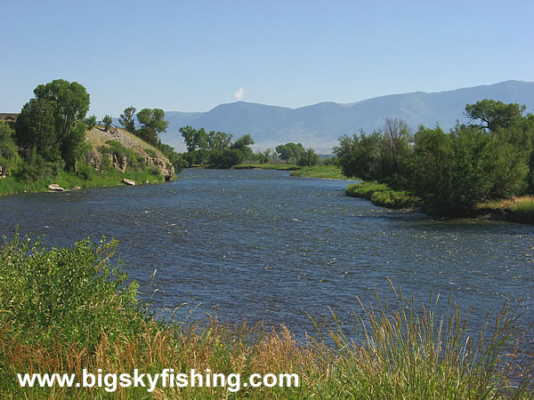 The Madison River Near Ennis, Photo #1