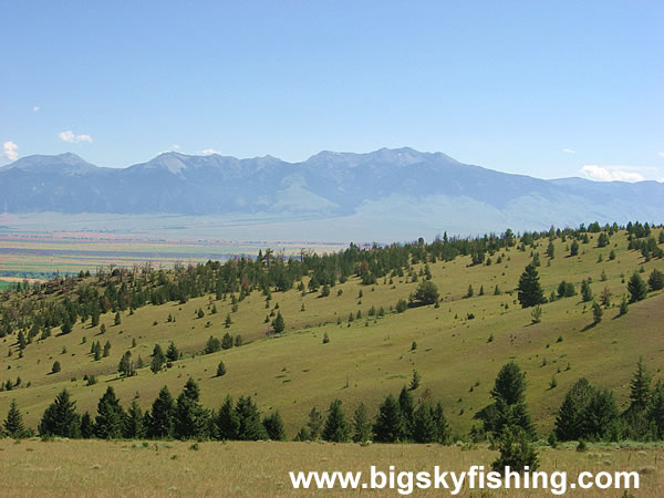 Gaining Elevation on the Gravelly Range Road