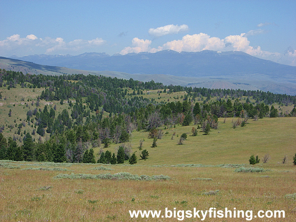 On the Plateau in the Gravelly Range Mountains