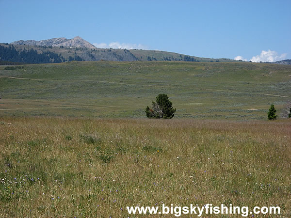 The Plateau in the Gravelly Range Mountains