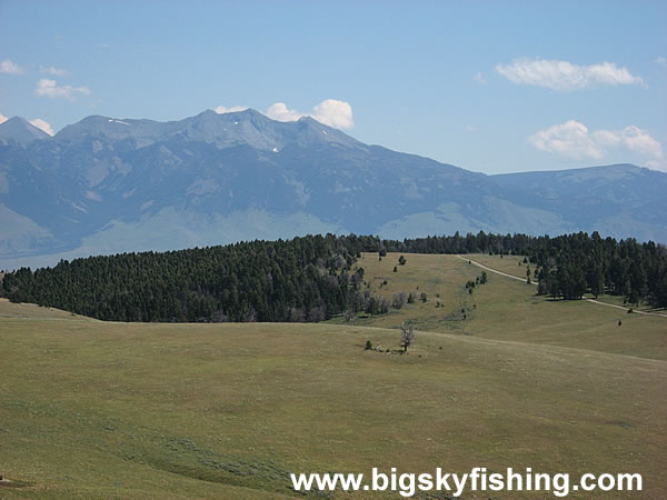 The Plateau in the Gravelly Range Mountains, Photo #3