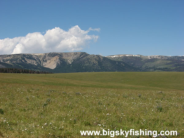 Huge Meadows and Open Fields in the Gravelly Range