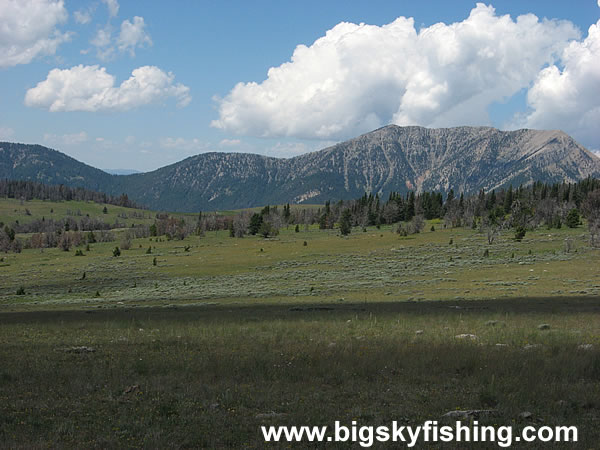 View Along the Gravelly Range Road, Photo #1