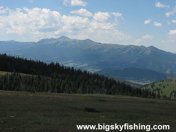 Scenic View Along the Gravelly Range Road, Photo #2