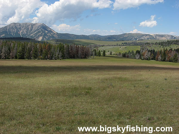 Scenic View Along the Gravelly Range Road, Photo #3