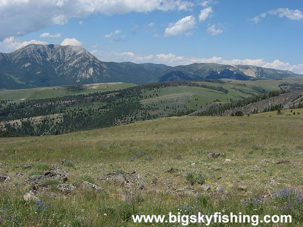 Scenic View Along the Gravelly Range Road, Photo #4