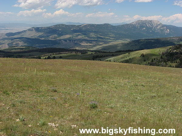 Scenic View Along the Gravelly Range Road, Photo #6