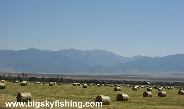 Fields of Hay