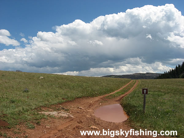 A Wet and Muddy Side Road