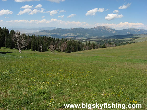 Huge Meadows and Distant Mountains
