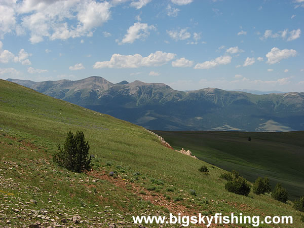 The Snowcrest Range