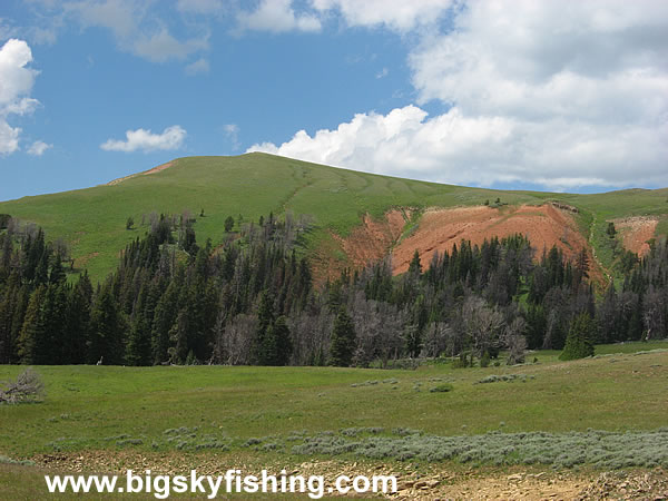 Green Fields in the Mountains