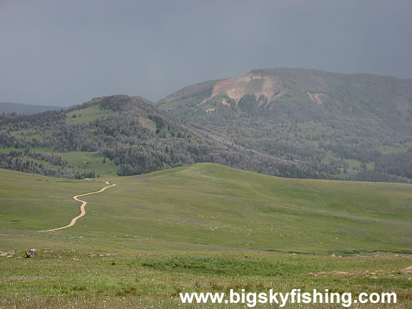 South of Black Butte Mountain in the Gravelly Range