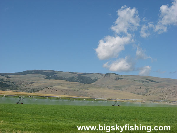 Irrigation in the Madison Valley