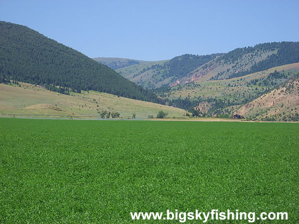 Green Fields and Mountains