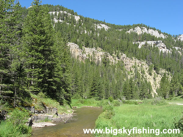 South Fork Judith River in the Canyon