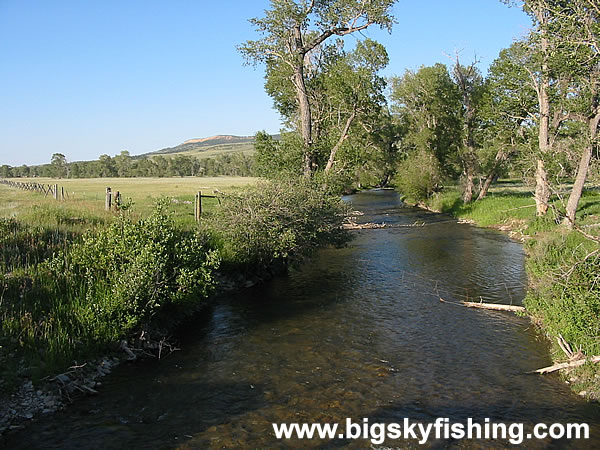 South Fork Judith River, Photo #1