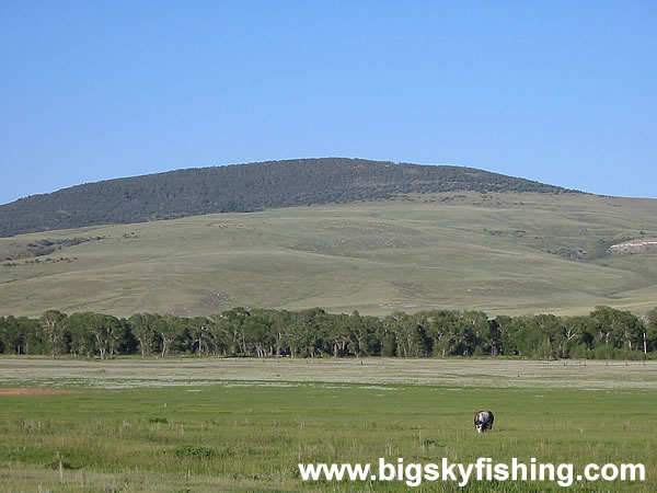 Horses Grazing in Scenic Valley, Photo #2