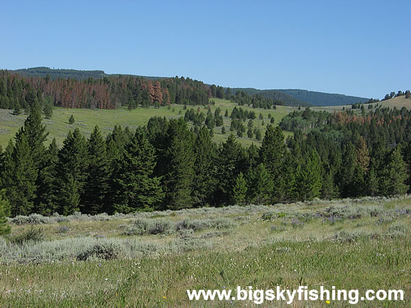 View From the Little Belt Mountains in Montana, Photo #1