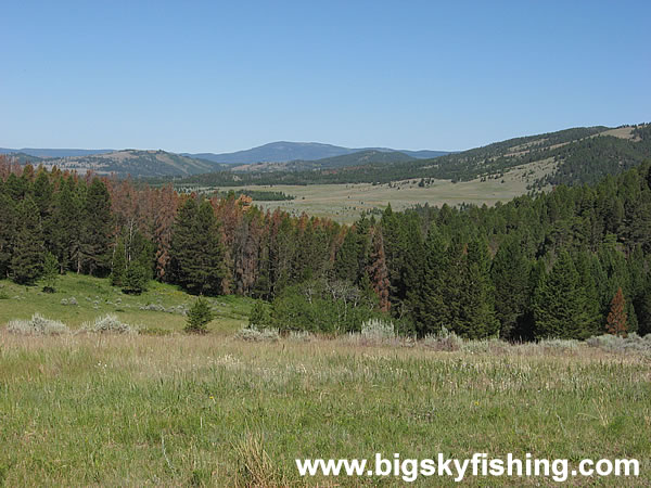 View From the Little Belt Mountains in Montana, Photo #3