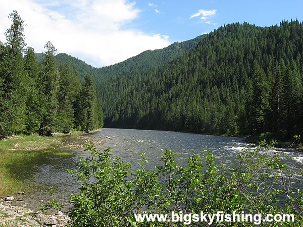 The Lochsa River - Photo #6