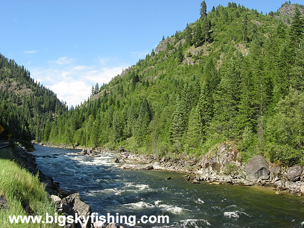 The Lochsa River - Photo #8