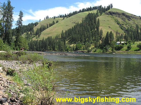 The Middle Fork Clearwater River Near Kooskia, Idaho