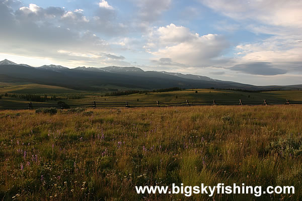 Sunset & Grasslands