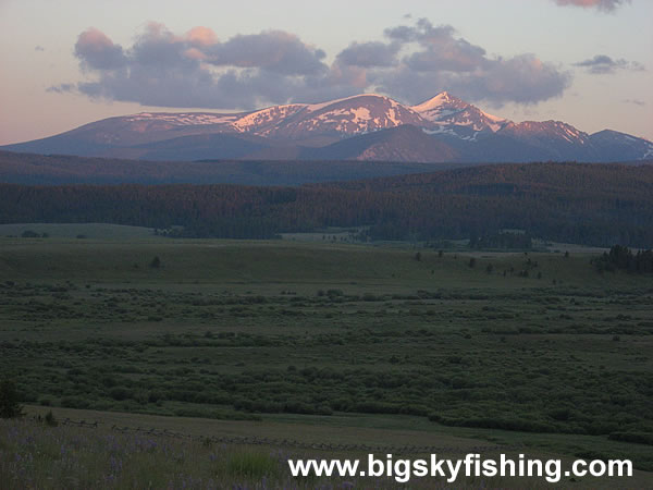 Mt. Haggin Wildlife Management Area : Photo #2