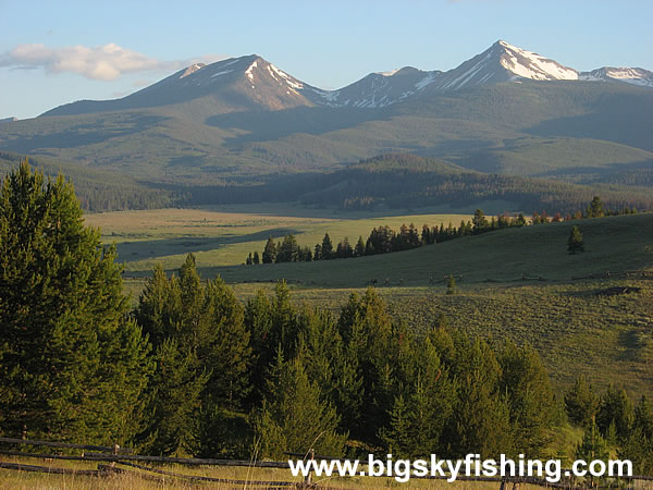 Forests, Meadows & Mountains