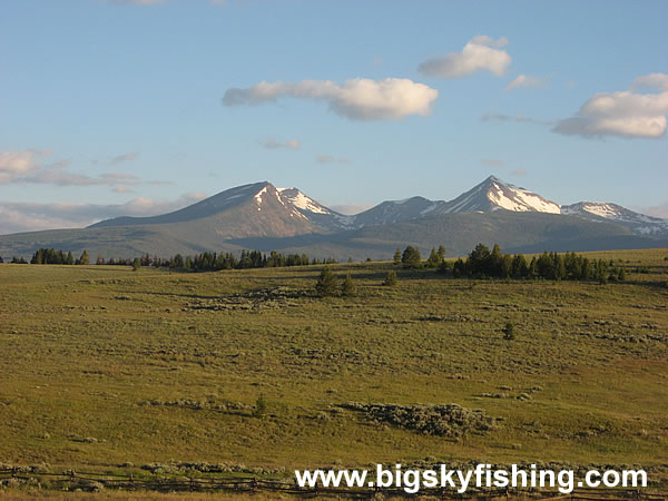 Broad Plains of the Mt. Haggin WMA : Photo #1