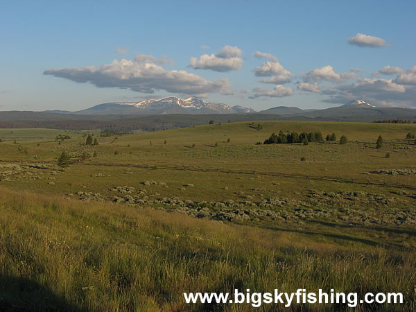 Broad Plains of the Mt. Haggin WMA : Photo #2