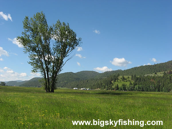 Fields and Forested Mountains