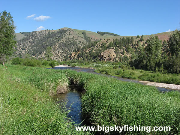 West Fork Rock Creek in Montana